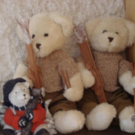 Petit Ours Apartment Villars-sur-Ollon Luaran gambar