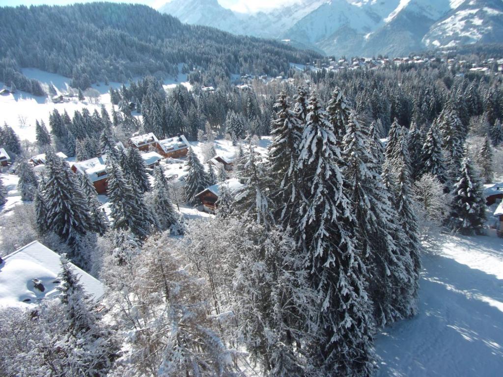 Petit Ours Apartment Villars-sur-Ollon Luaran gambar