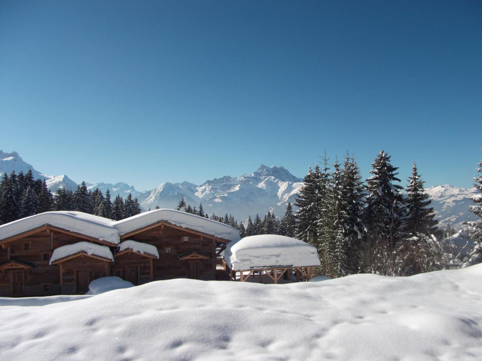 Petit Ours Apartment Villars-sur-Ollon Luaran gambar